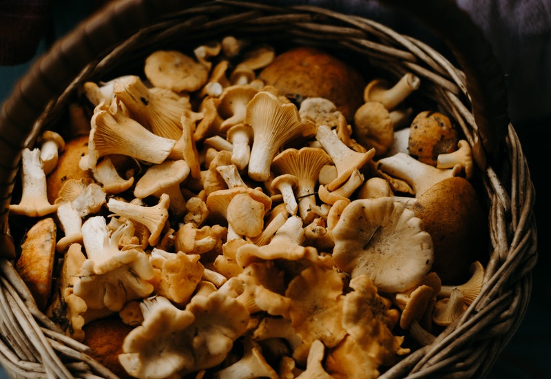 cogumelos - alimentos para aumentar a quantidade de sémen